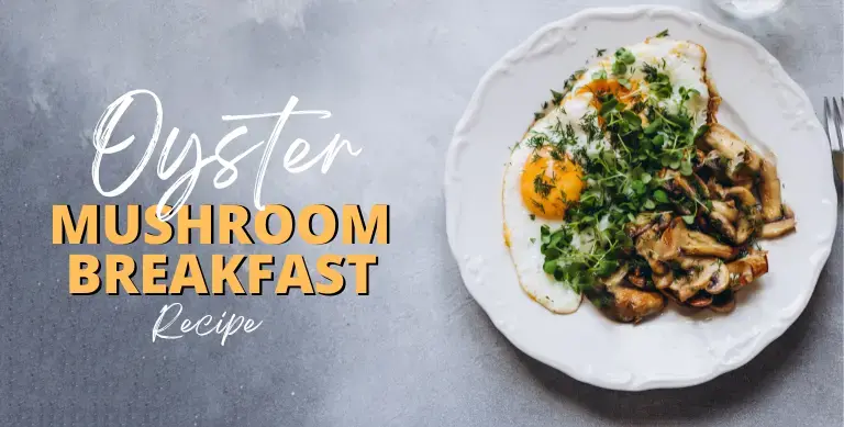 Oyster Mushroom Breakfast Recipe